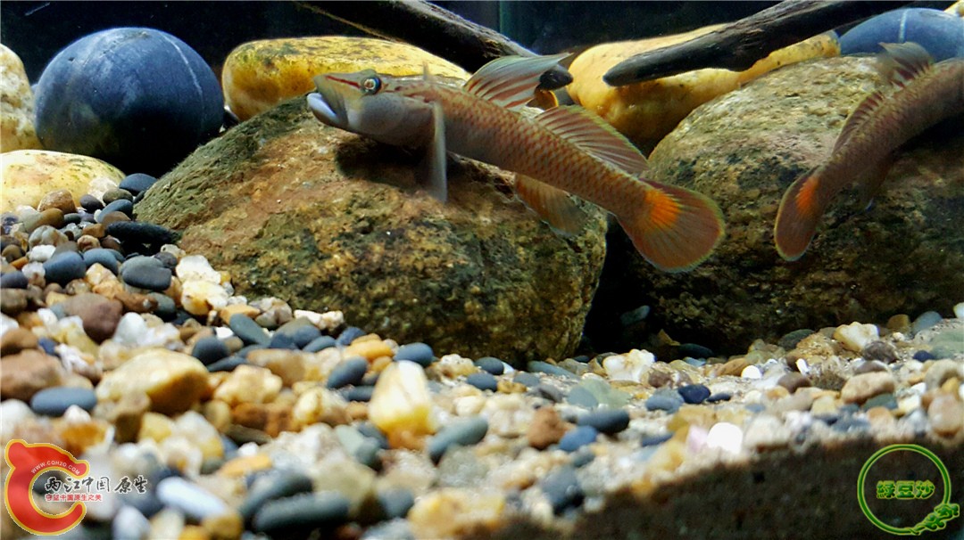 2016-01-05 01.05.00.jpg