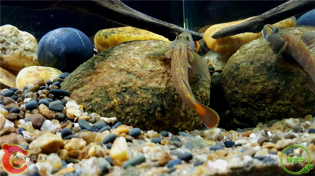 2016-01-05 01.05.54.jpg