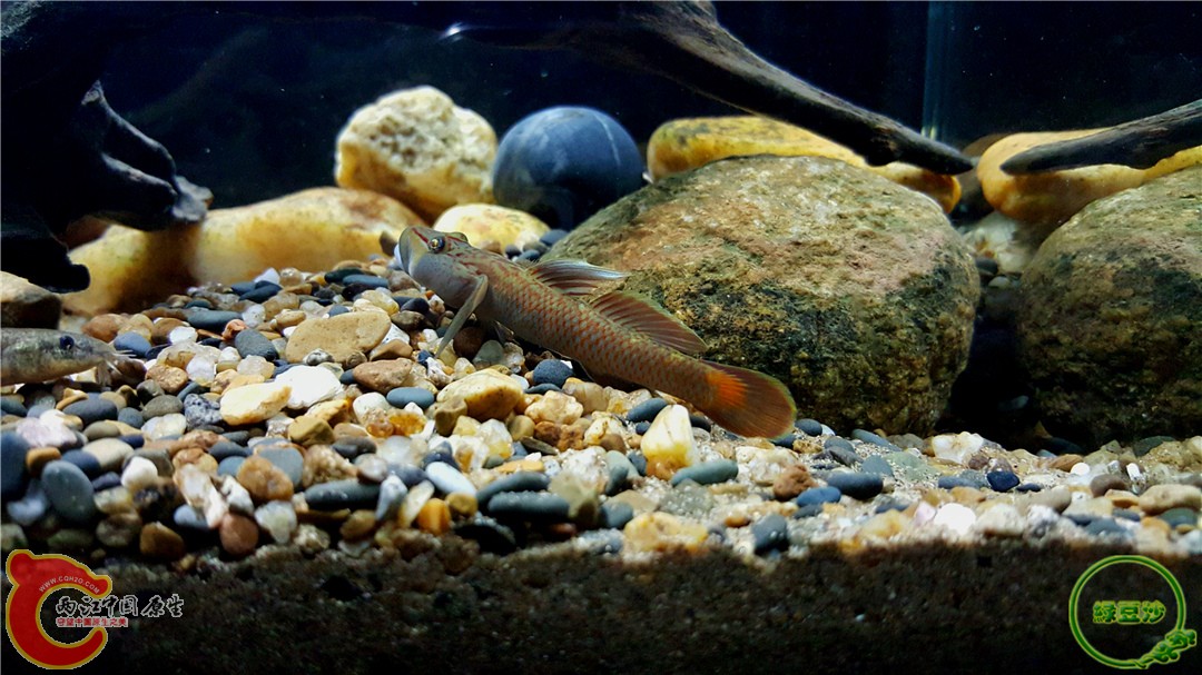 2016-01-05 01.03.18.jpg