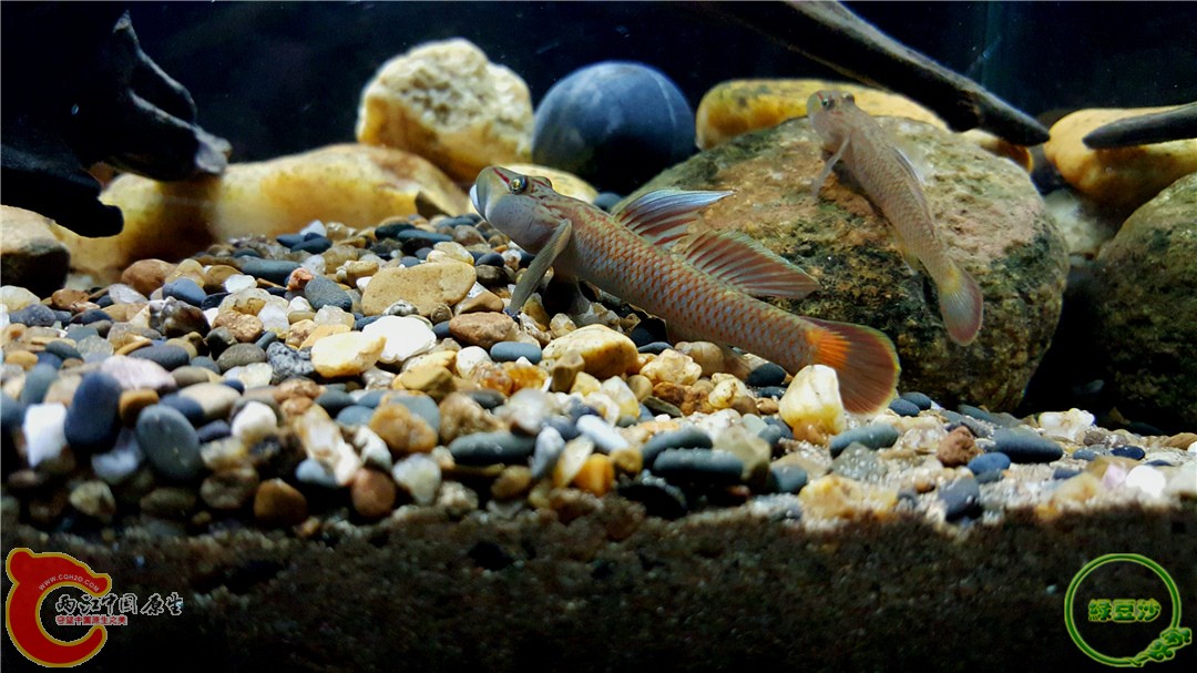 2016-01-05 01.00.55.jpg