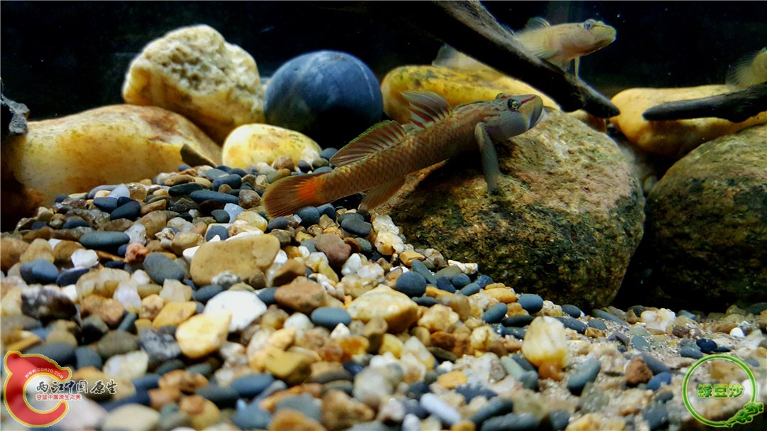 2016-01-05 00.57.13.jpg