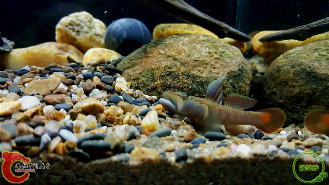 2016-01-05 00.58.50.jpg