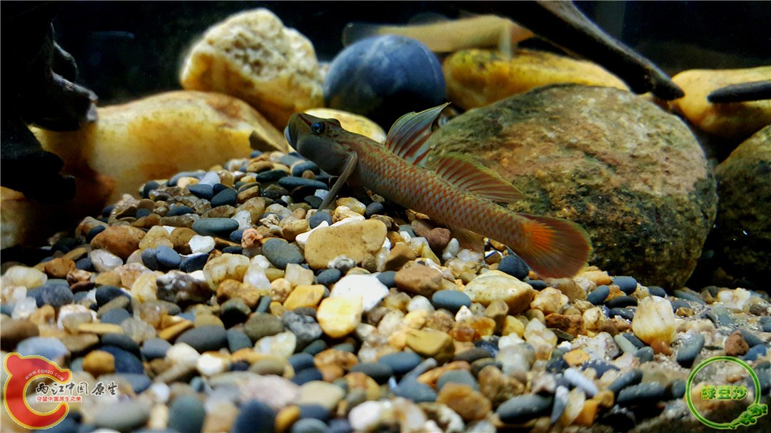 2016-01-05 00.56.07.jpg