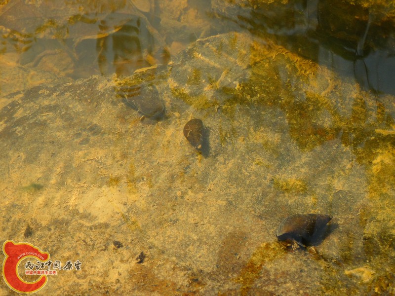 DSC02145.JPG