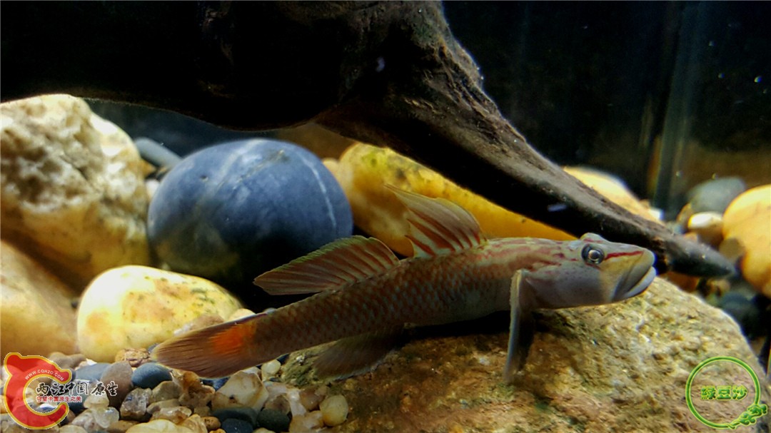 2016-01-04 00.28.30.jpg