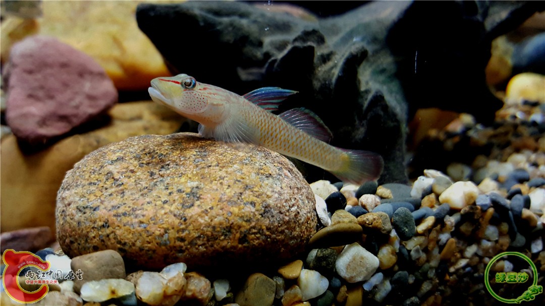 2016-01-05 00.48.17.jpg