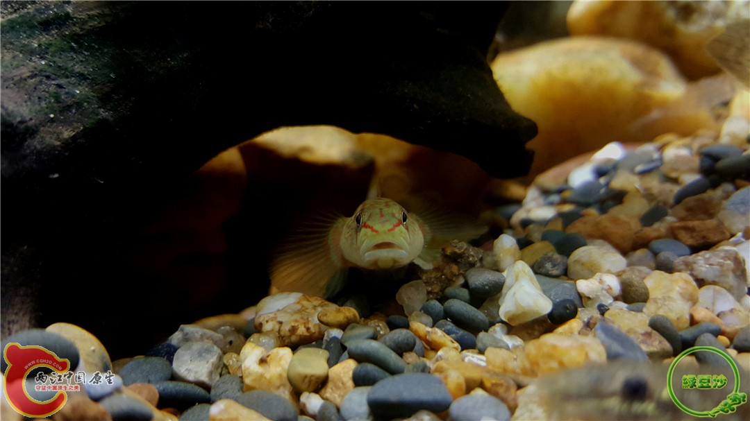 2016-01-04 00.24.31.jpg