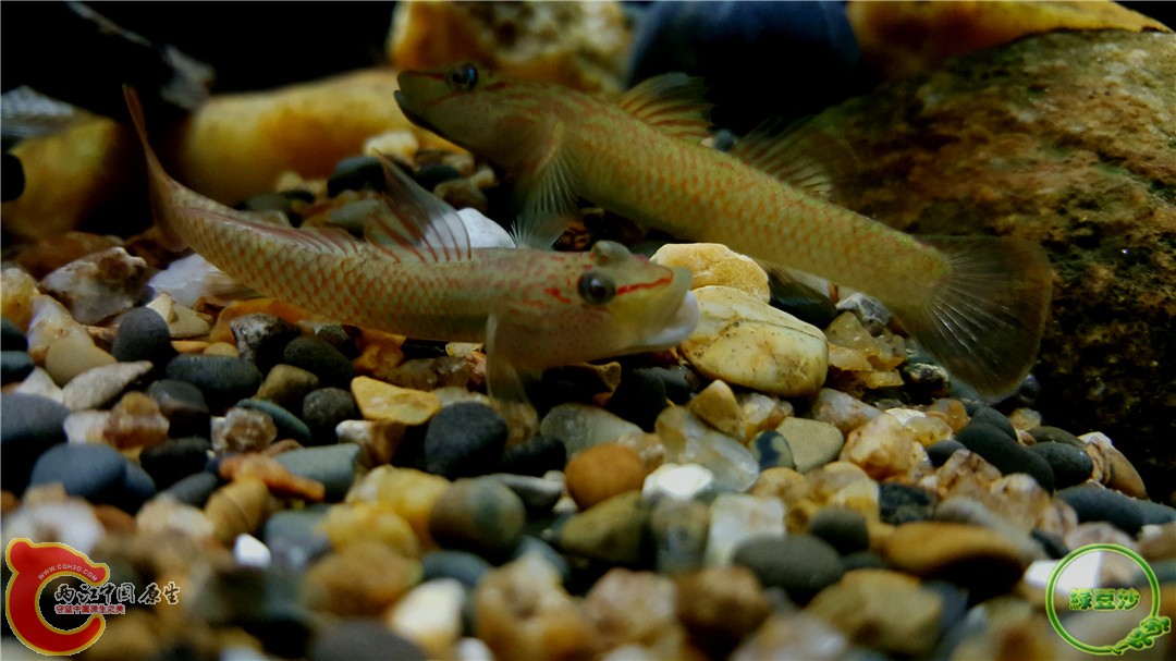 2016-01-04 00.21.59.jpg