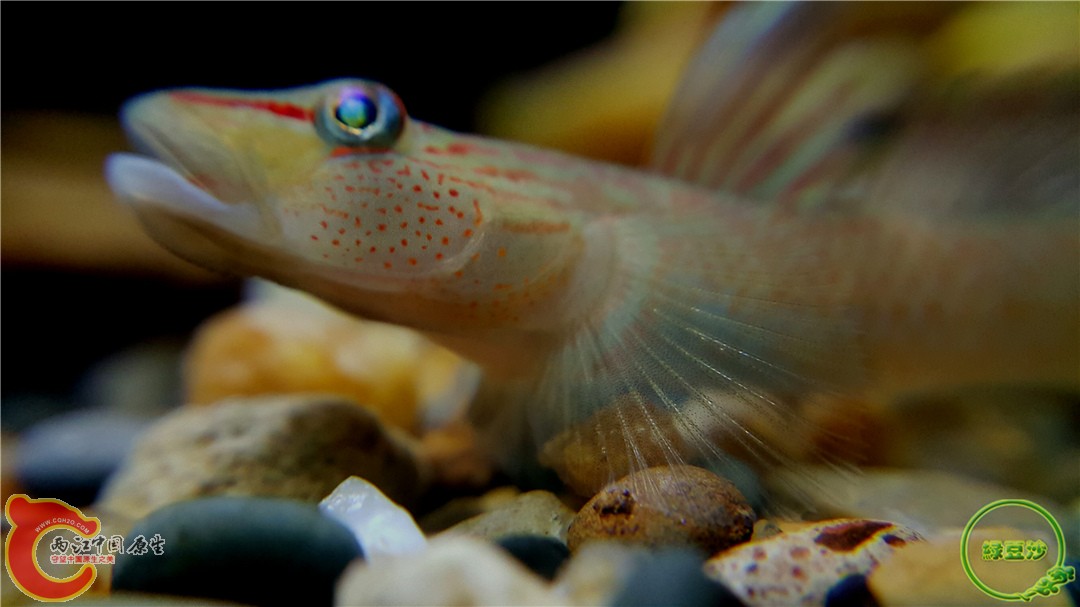 2016-01-04 00.20.32.jpg