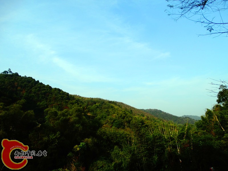 DSC02173.JPG