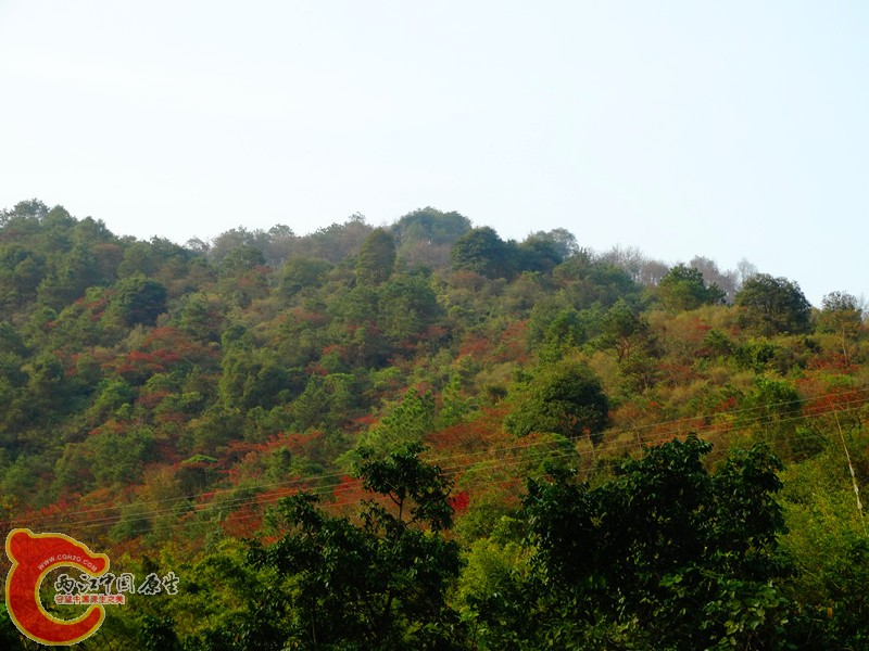 DSC02178.JPG
