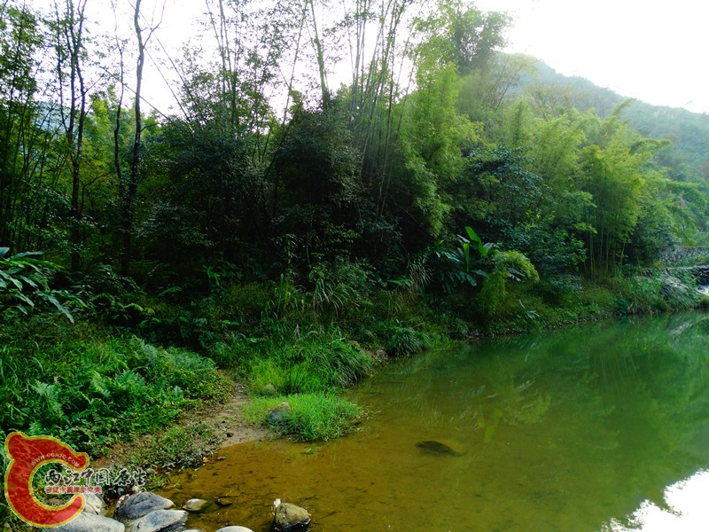 DSC02182.JPG