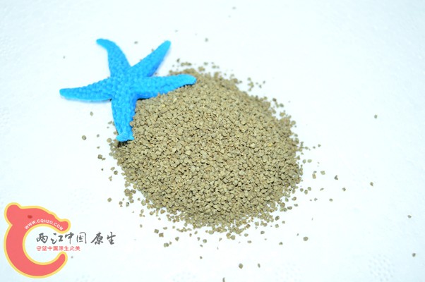 DSC_0004 副本.jpg