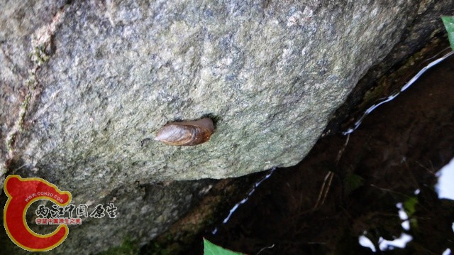 nEO_IMG_DSC01681.jpg