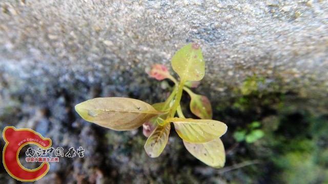 nEO_IMG_DSC01691.jpg