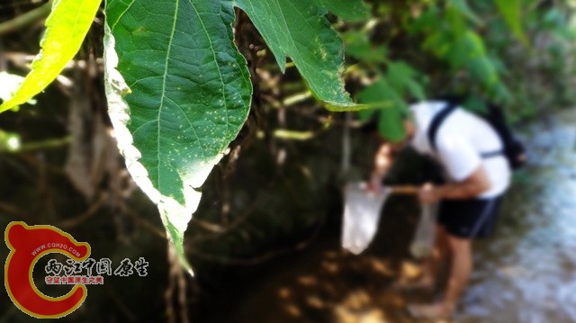 nEO_IMG_DSC01696.jpg