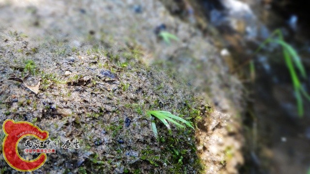 nEO_IMG_DSC01733.jpg