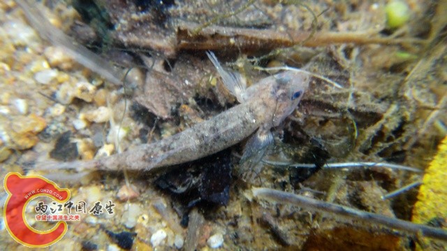nEO_IMG_DSC01750.jpg