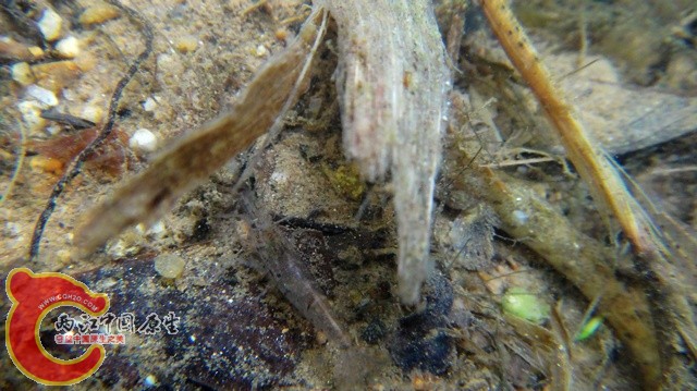nEO_IMG_DSC01753.jpg