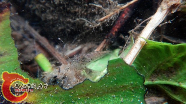 nEO_IMG_DSC01756.jpg