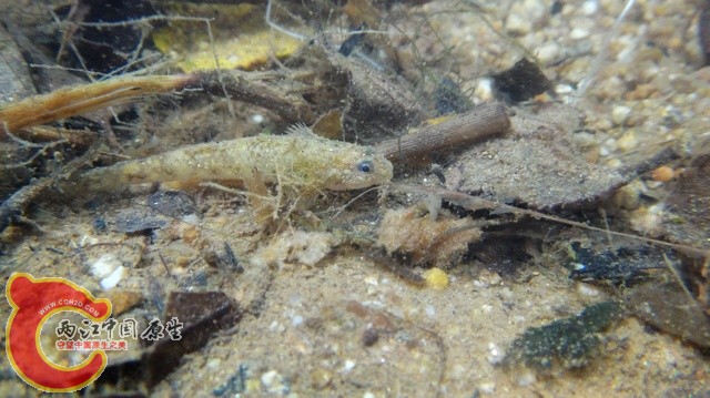 nEO_IMG_DSC01762.jpg