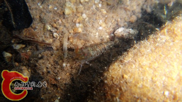 nEO_IMG_DSC01766.jpg