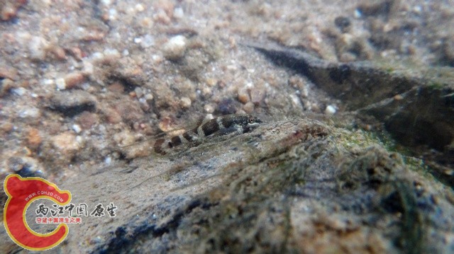 nEO_IMG_DSC01796.jpg