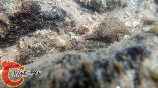 nEO_IMG_DSC01800.jpg