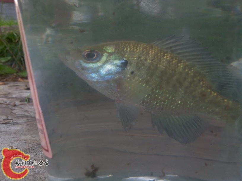 2015071104.jpg