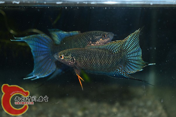 DSC_0289 副本.jpg