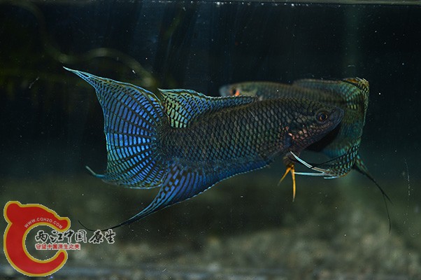 DSC_0291 副本.jpg