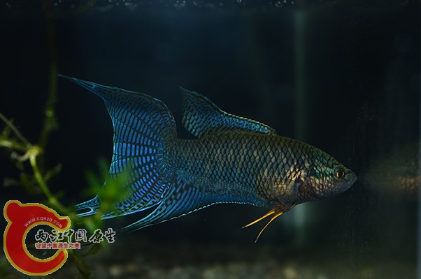 DSC_0302 副本.jpg