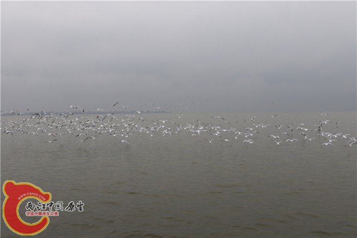 377A1619.jpg