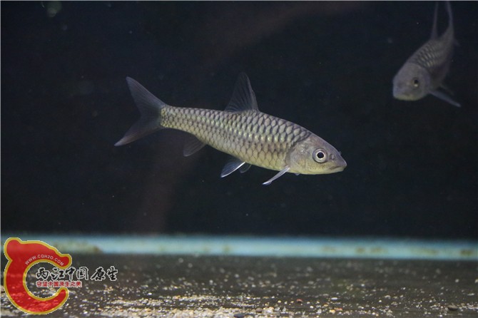 377A0110.jpg
