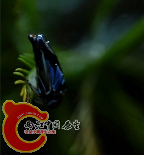 QQ截图20160206104512.png