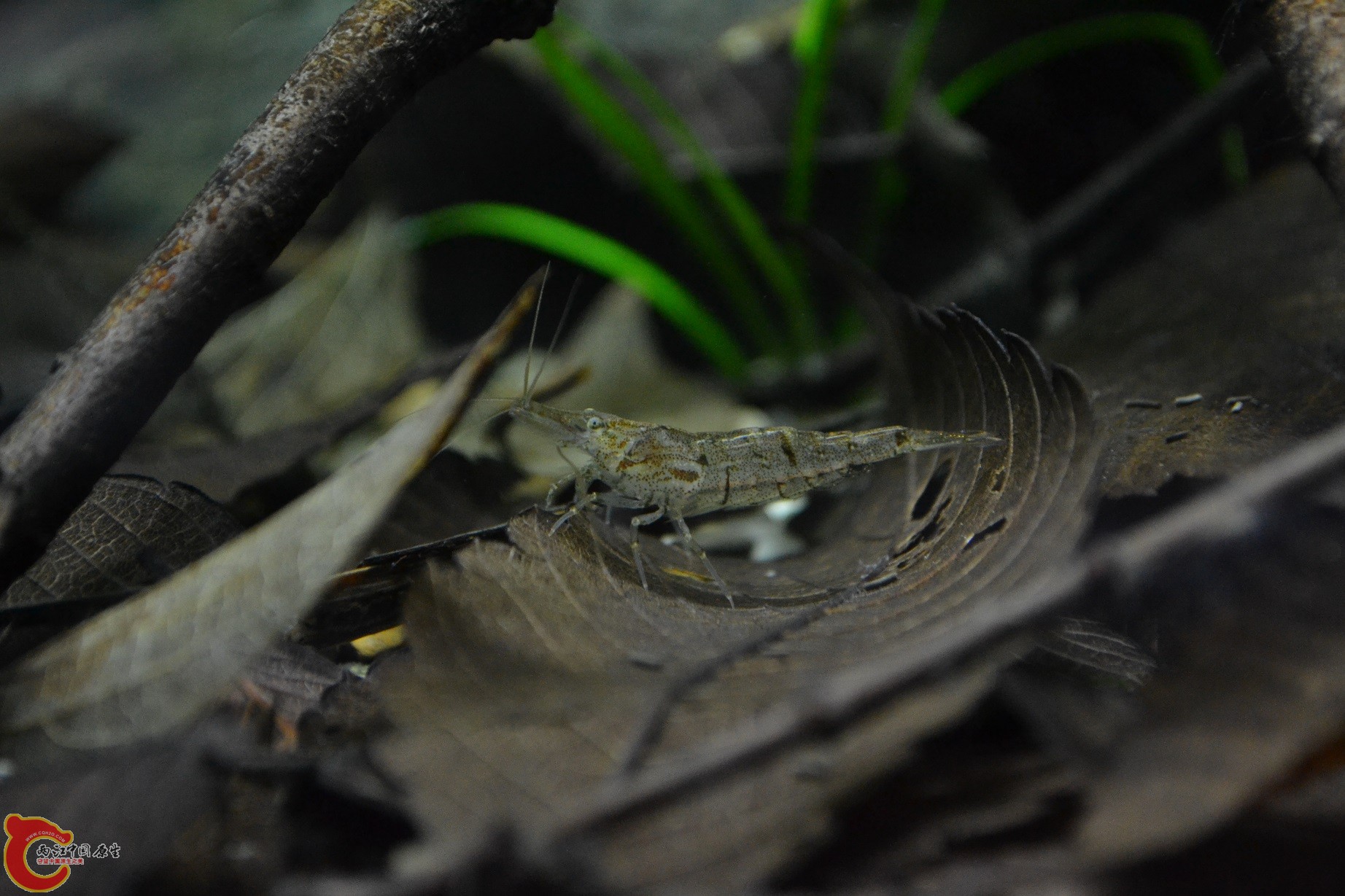 DSC_2614.JPG