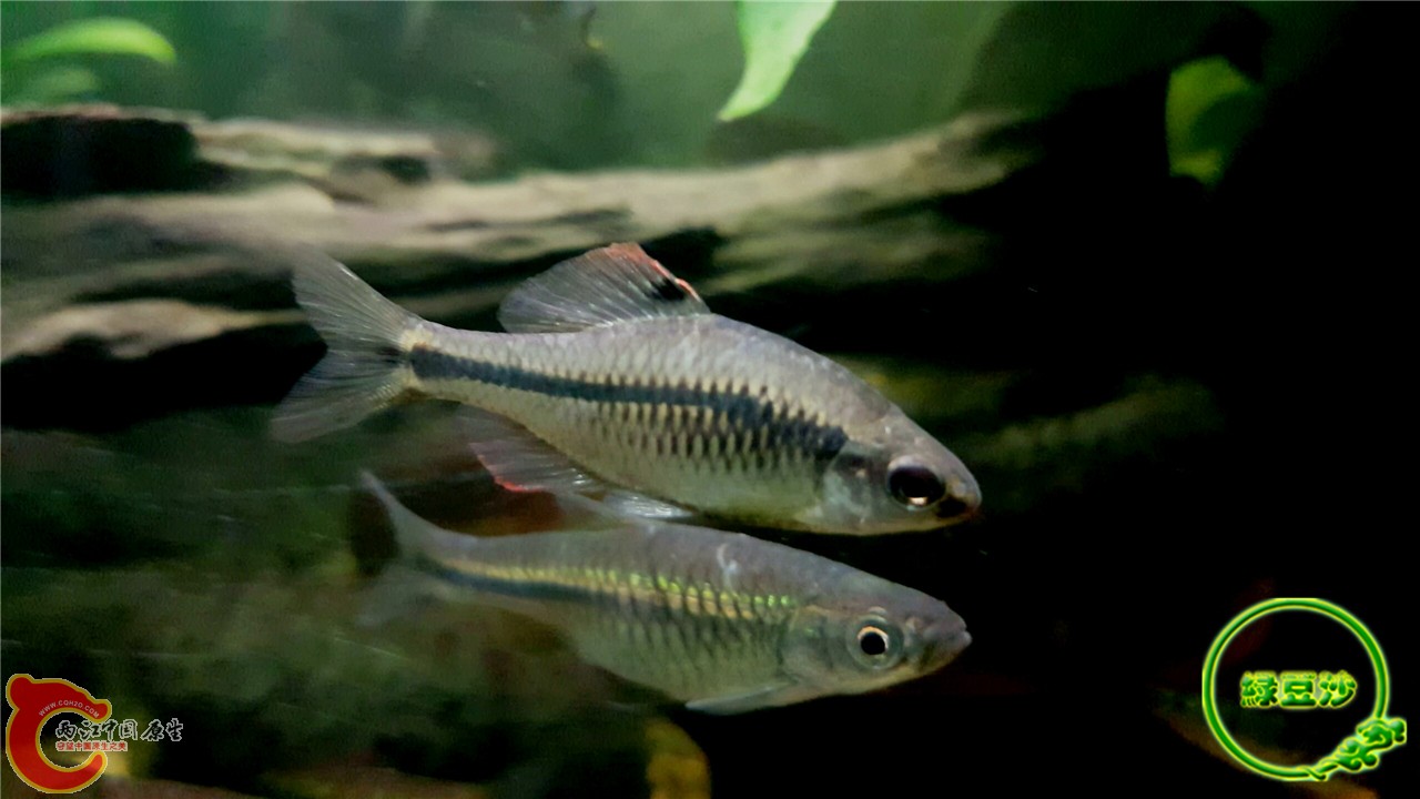 2016-02-08 01.46.55.jpg