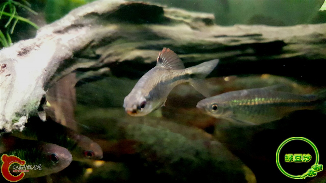 2016-02-08 01.47.55.jpg