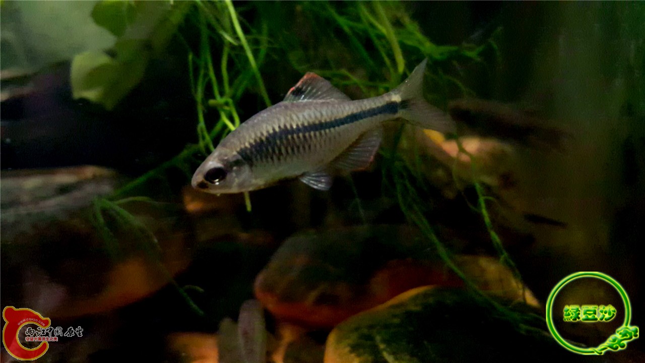 2016-02-08 01.48.42.jpg