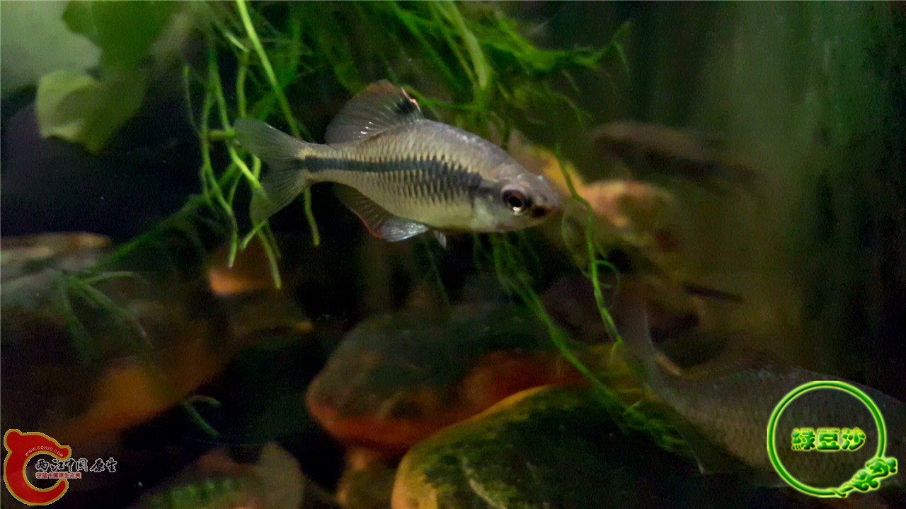 2016-02-08 01.49.24.jpg