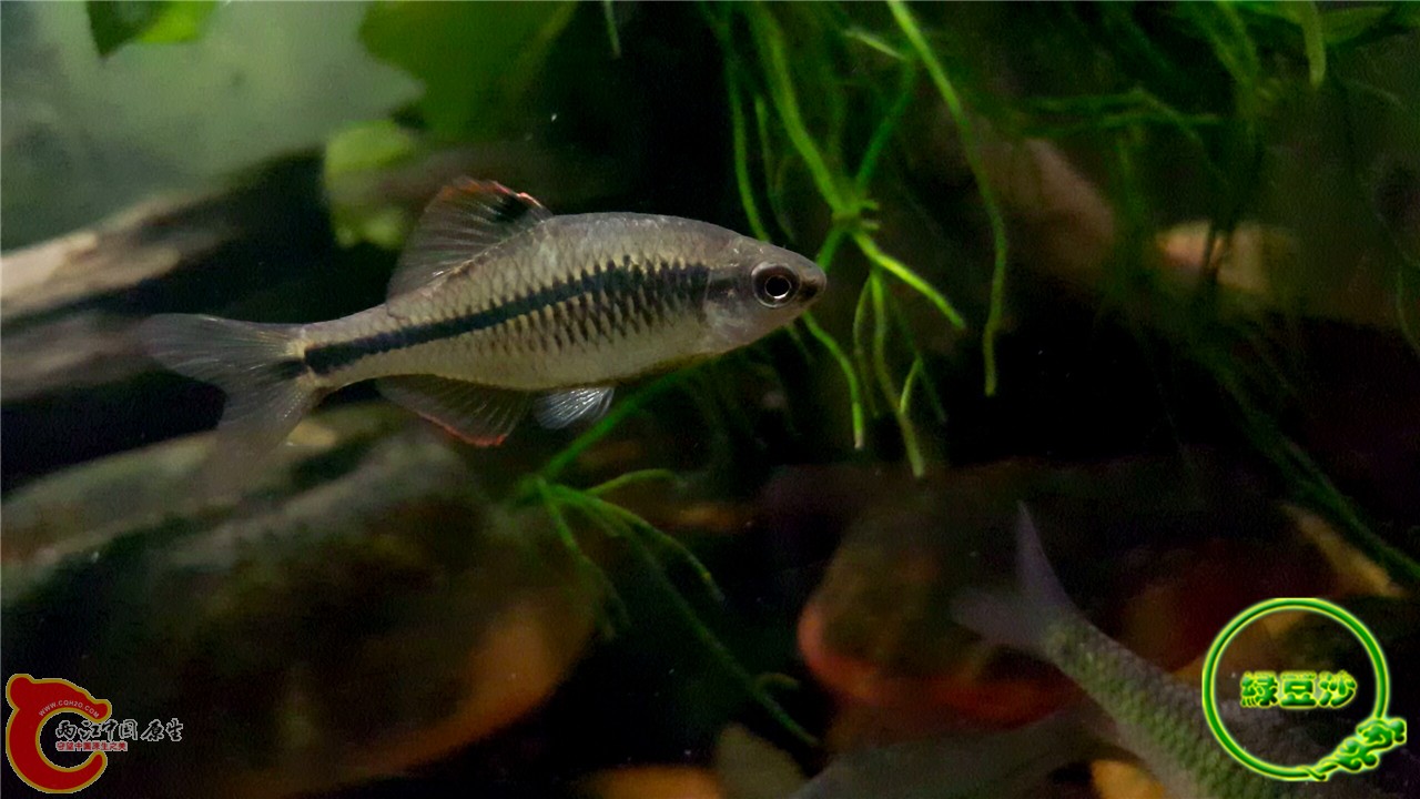 2016-02-08 01.49.50.jpg