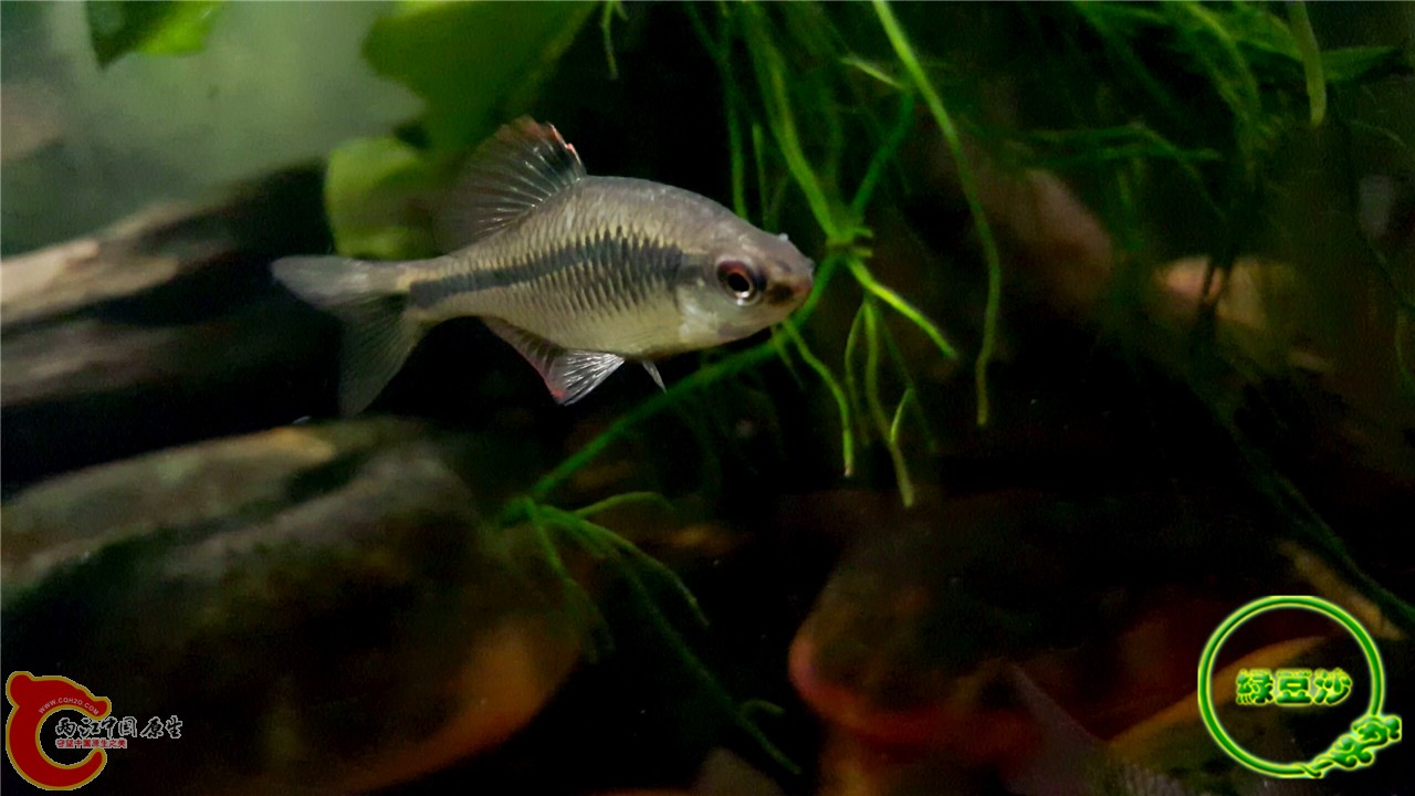 2016-02-08 01.50.18.jpg