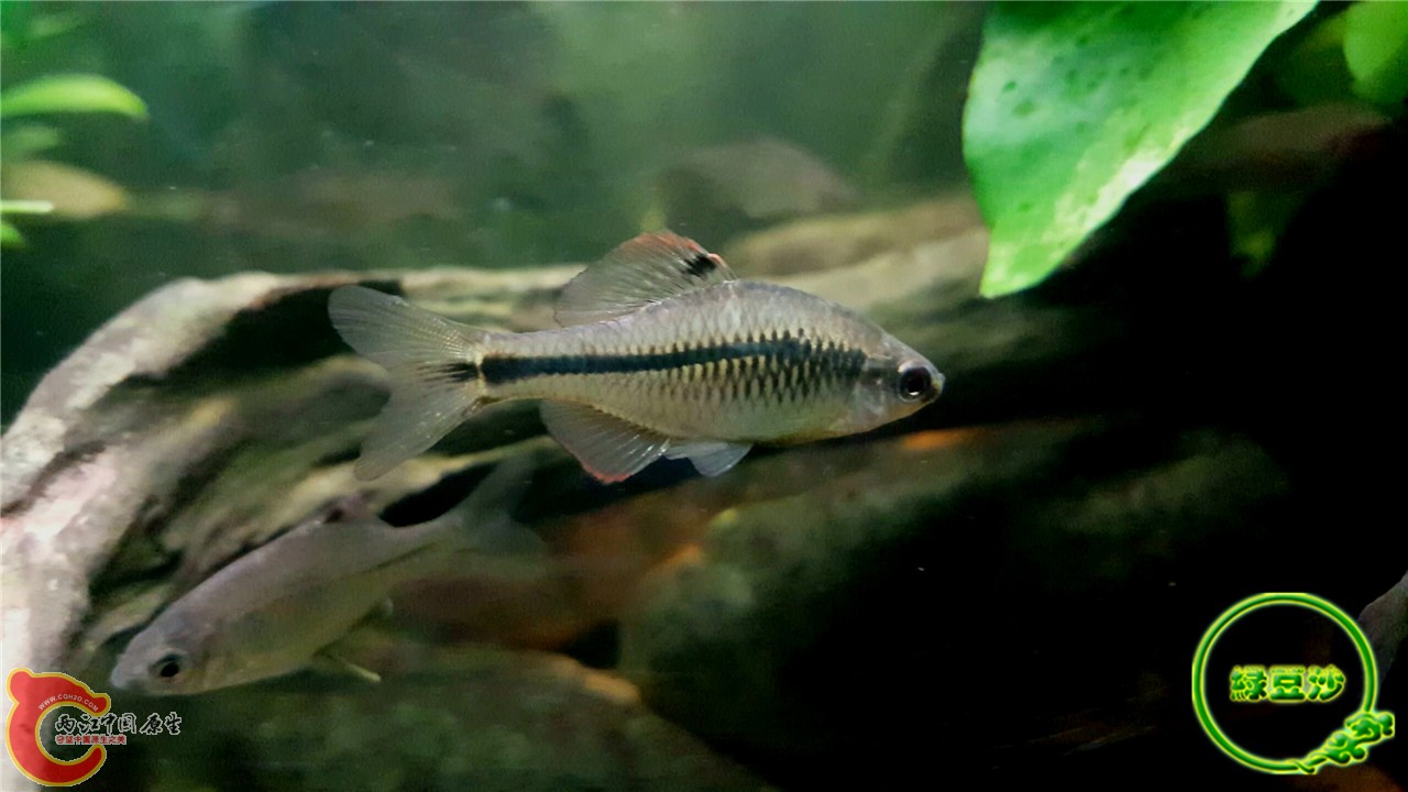 2016-02-08 01.52.17.jpg