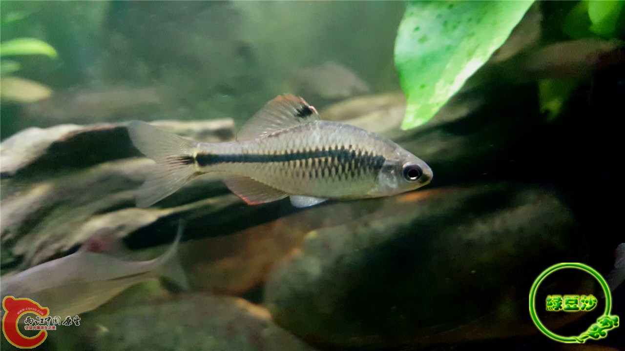 2016-02-08 01.59.04.jpg