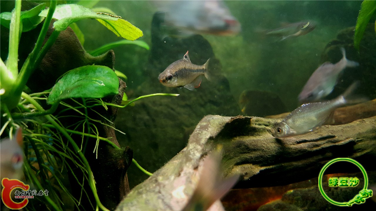 2016-02-08 02.16.47.jpg