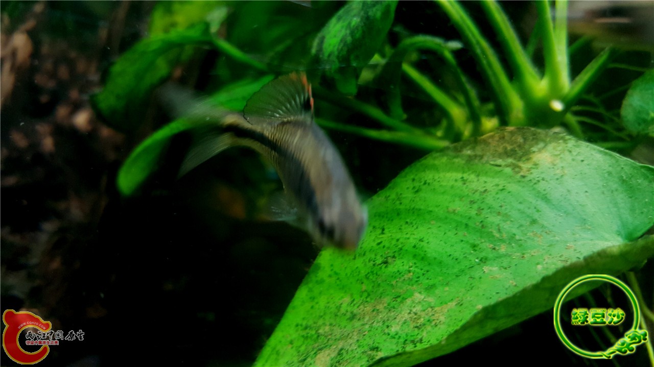 2016-02-08 02.17.24.jpg