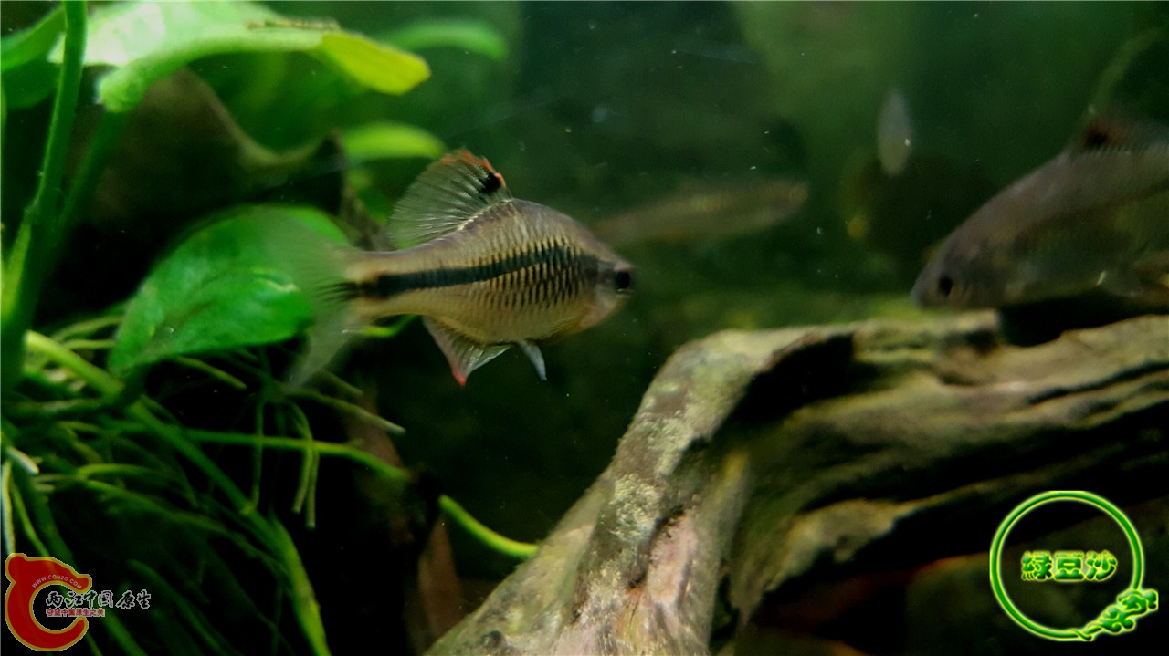 2016-02-08 02.18.06.jpg