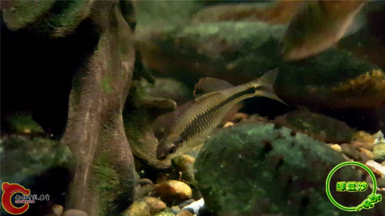 2016-02-09 11.41.14.jpg