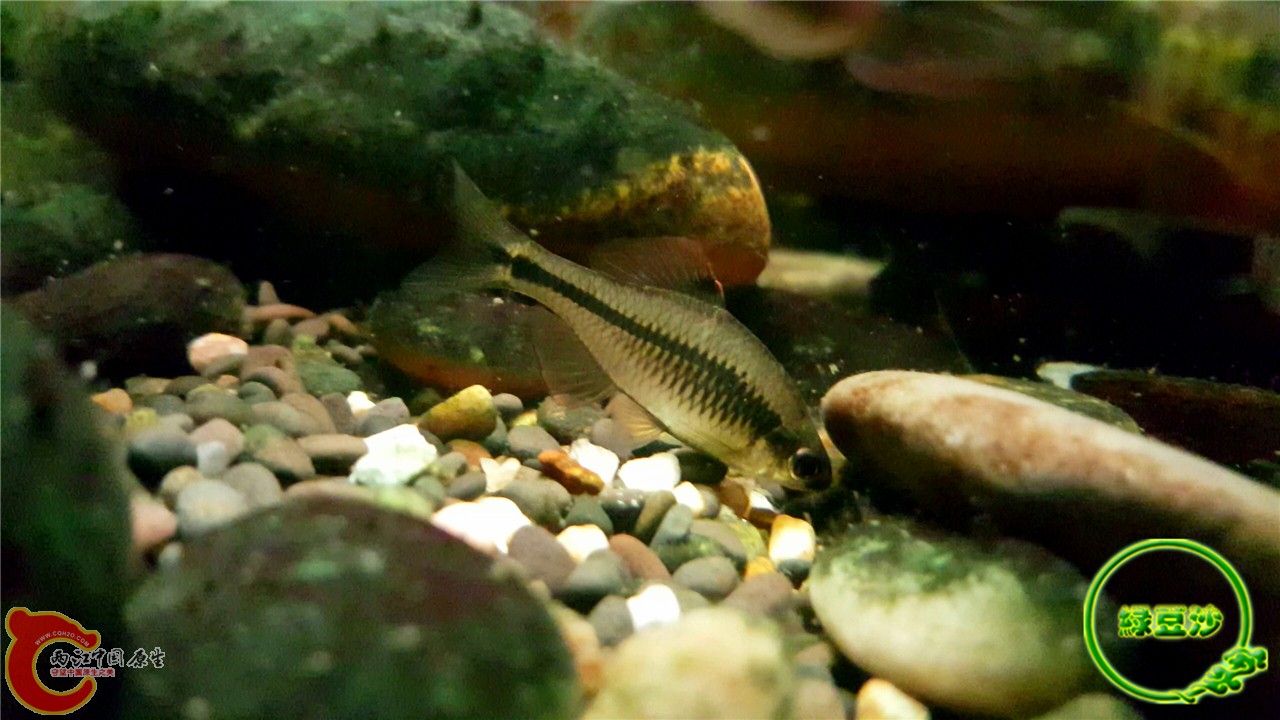 2016-02-09 11.42.07.jpg