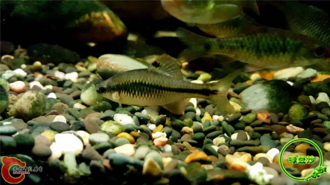 2016-02-09 11.43.00.jpg